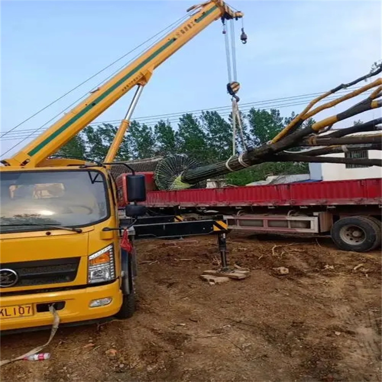 龙湾镇100吨吊车租赁费用怎么算？3大关键因素+省钱技巧全解析